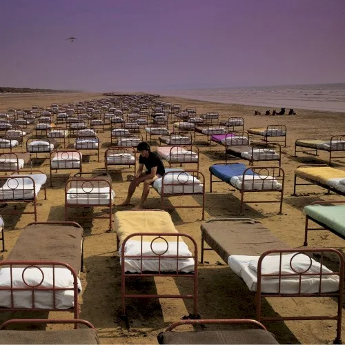 A Momentary Lapse of Reason (1987)