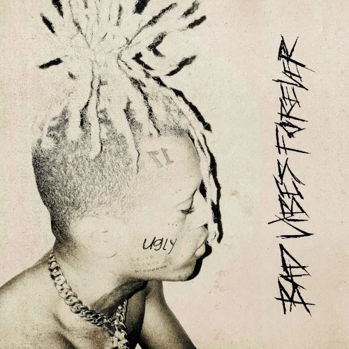 Bad Vibes Forever (2019)