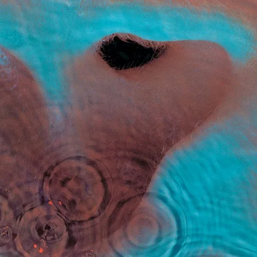 Meddle (1971)