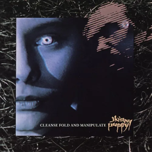 Cleanse Fold and Manipulate (1987)