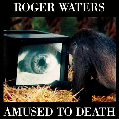 Amused to Death (1992)