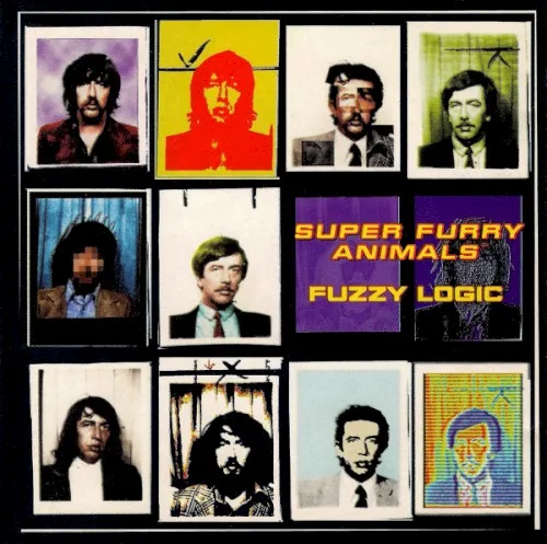 Fuzzy Logic (1996)