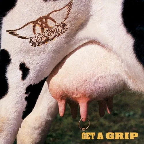 Get a Grip (1993)