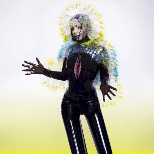 Vulnicura (2015)