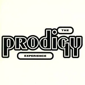 Experience (1992)