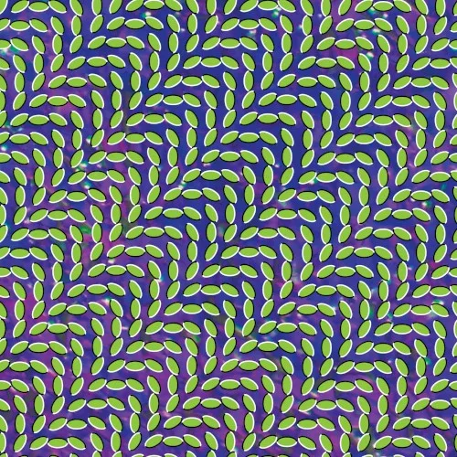 Merriweather Post Pavilion (2009)