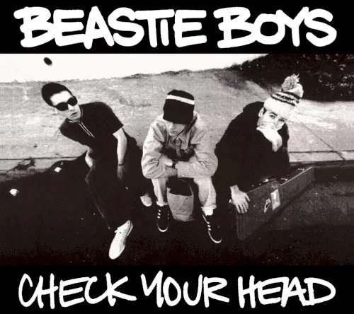 Check Your Head (1992)