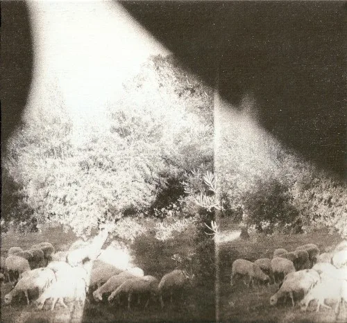 ‘Asunder, Sweet and Other Distress’ (2015)