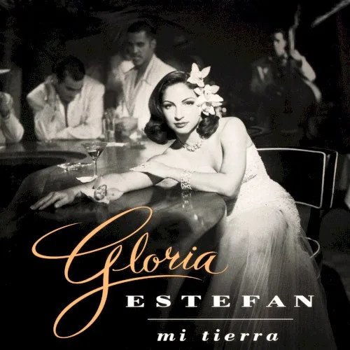 Mi tierra (1993)