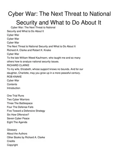 Cyber war (2010)