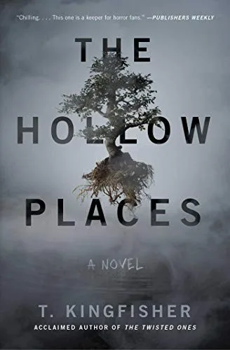 The Hollow Places (2020)
