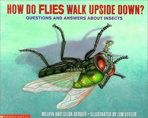 How do flies walk upside down? (1999)