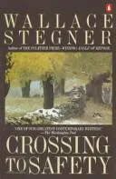 Crossing to Safety (1987)