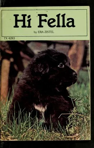 Hi Fella (1977)