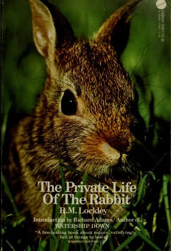 The private life of the rabbit (1975)