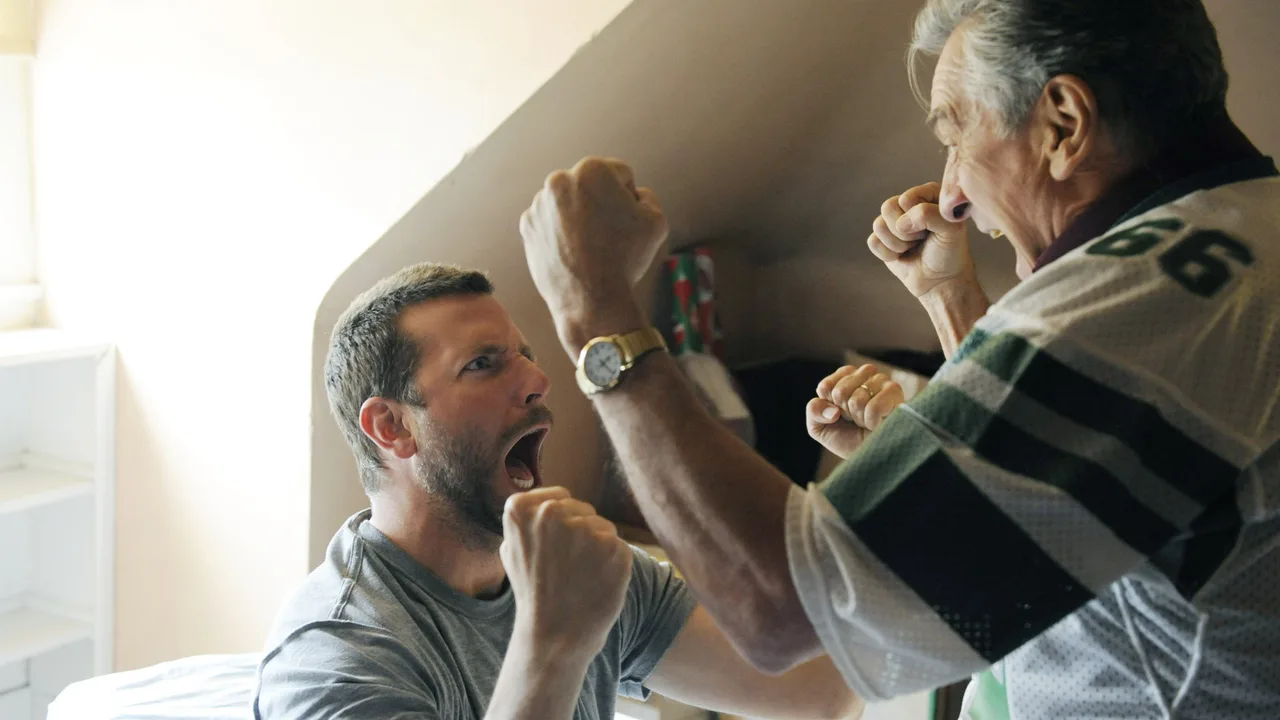 Silver Linings Playbook (2012)