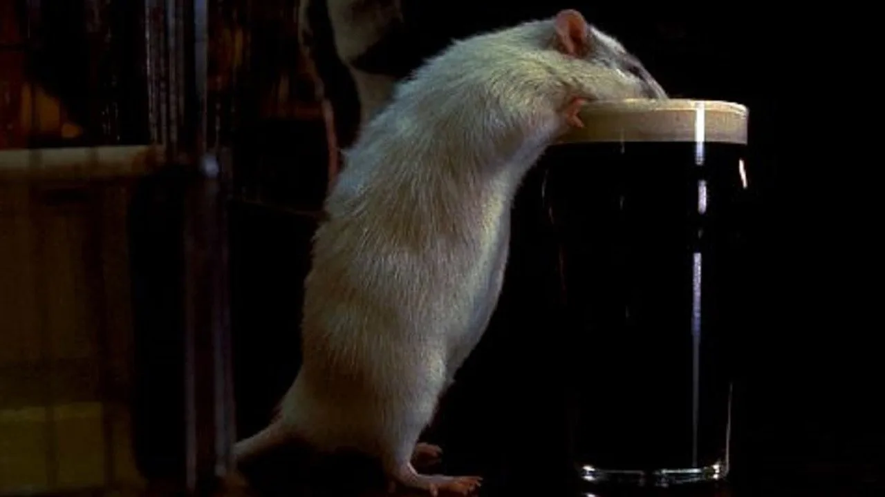 Rat (2000)