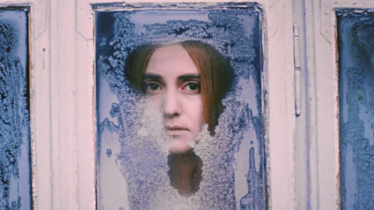 The White Bird Marked with Black (1972)