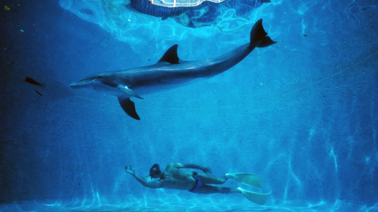 The Big Blue (1988)