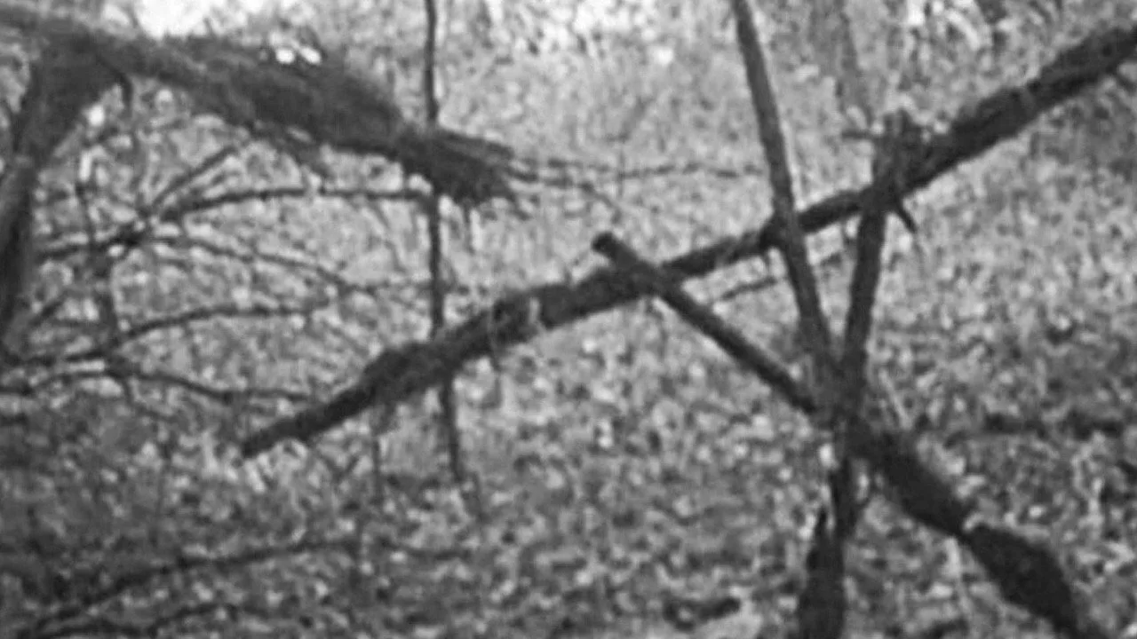 The Blair Witch Project (1999)