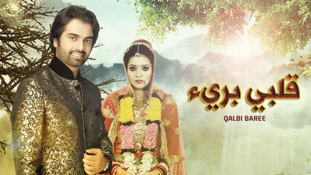Do Dil Bandhe Ek Dori Se (2013)