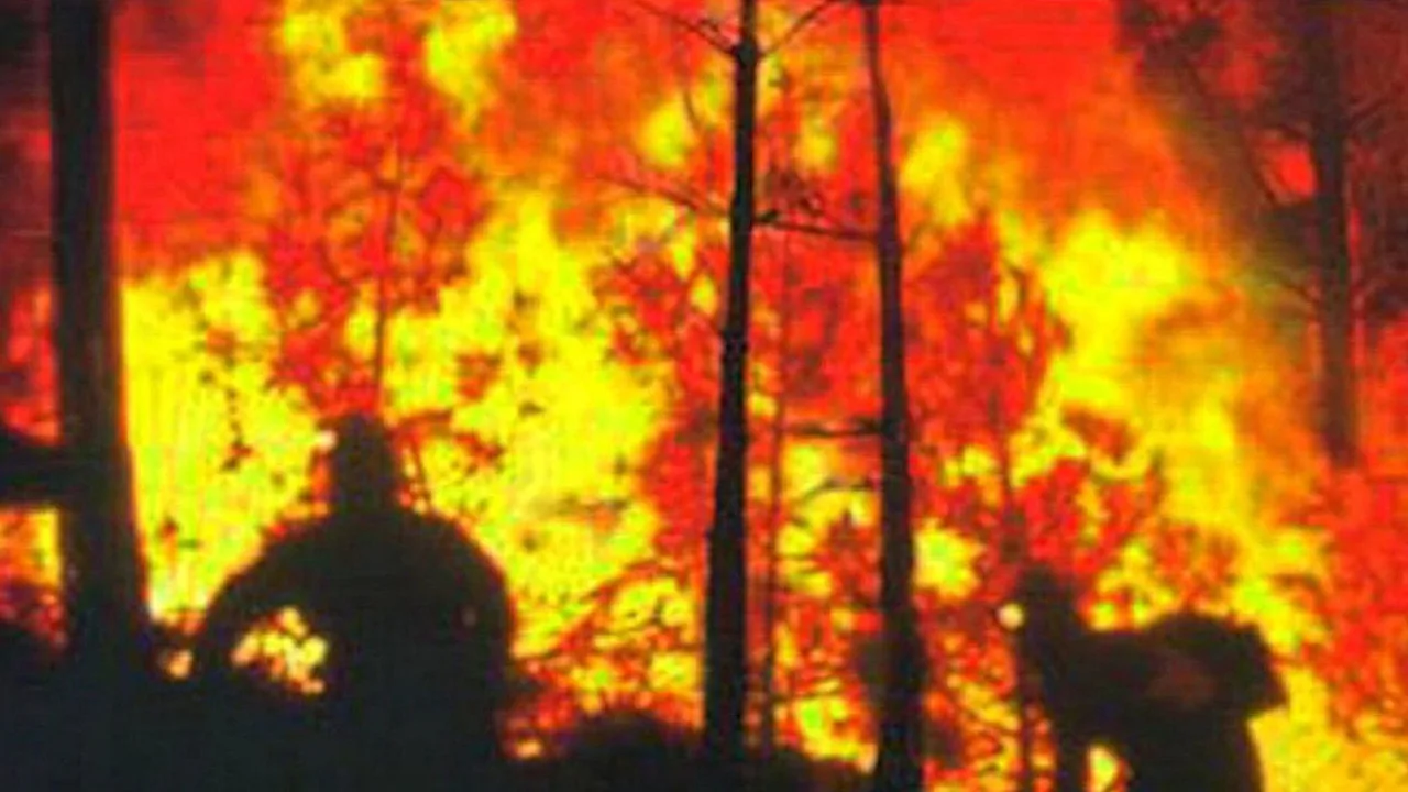 In the Line of Duty: Smoke Jumpers (1996)