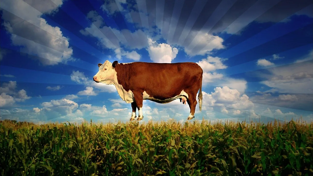 Food, Inc. (2008)