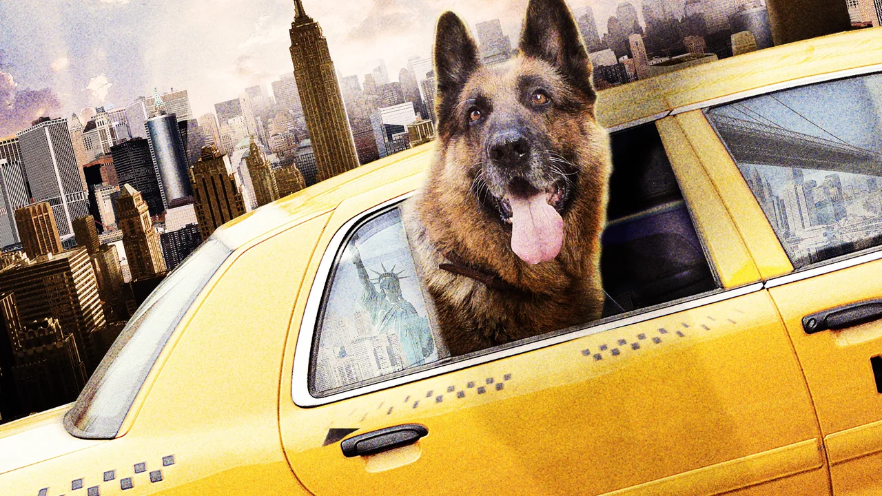 Cool Dog (2010)