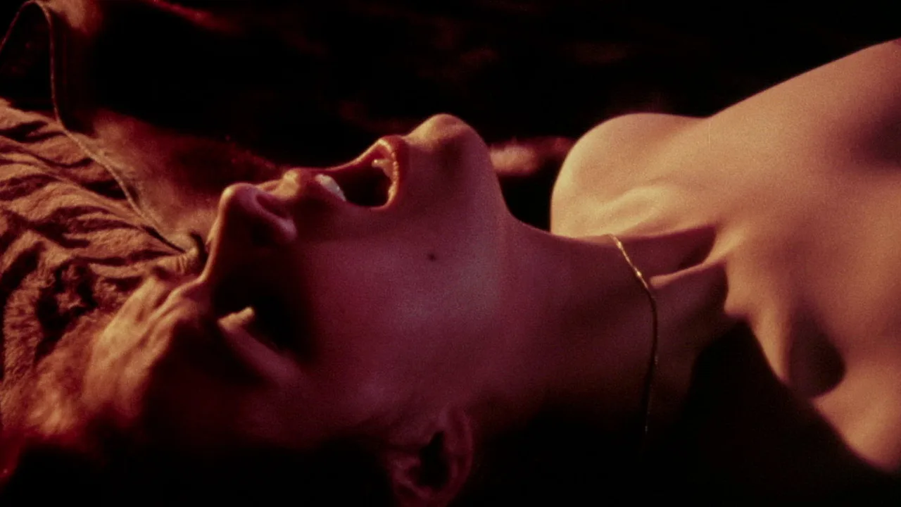 I Am a Nymphomaniac (1971)