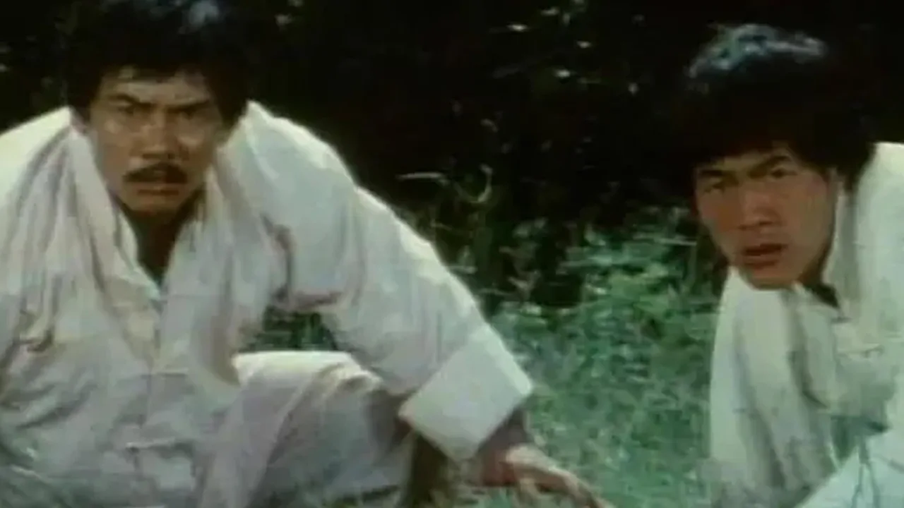 Bruce Lee The Invincible (1978)
