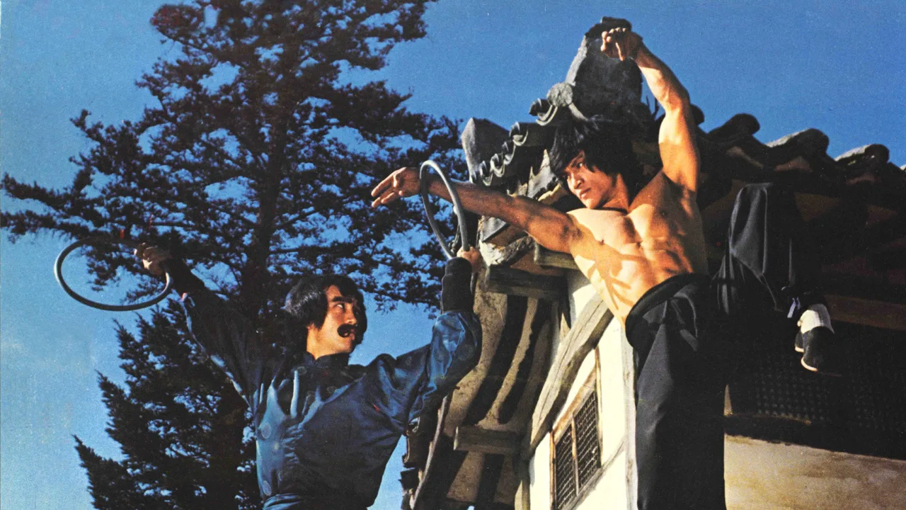 The Dragon's Snake Fist (1982)