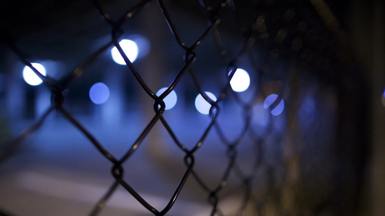 Night Crossing (1982)