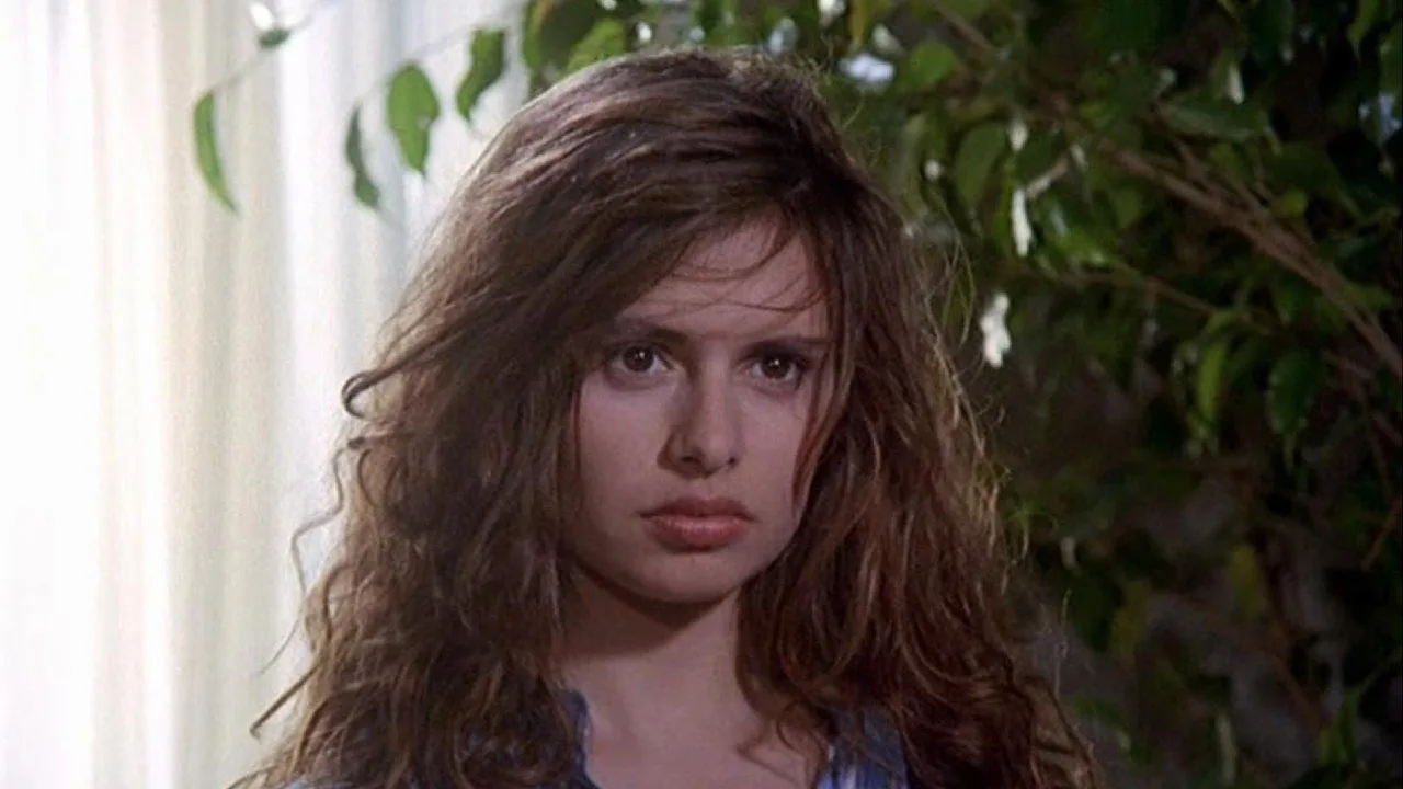The Smile of the Fox (1992)
