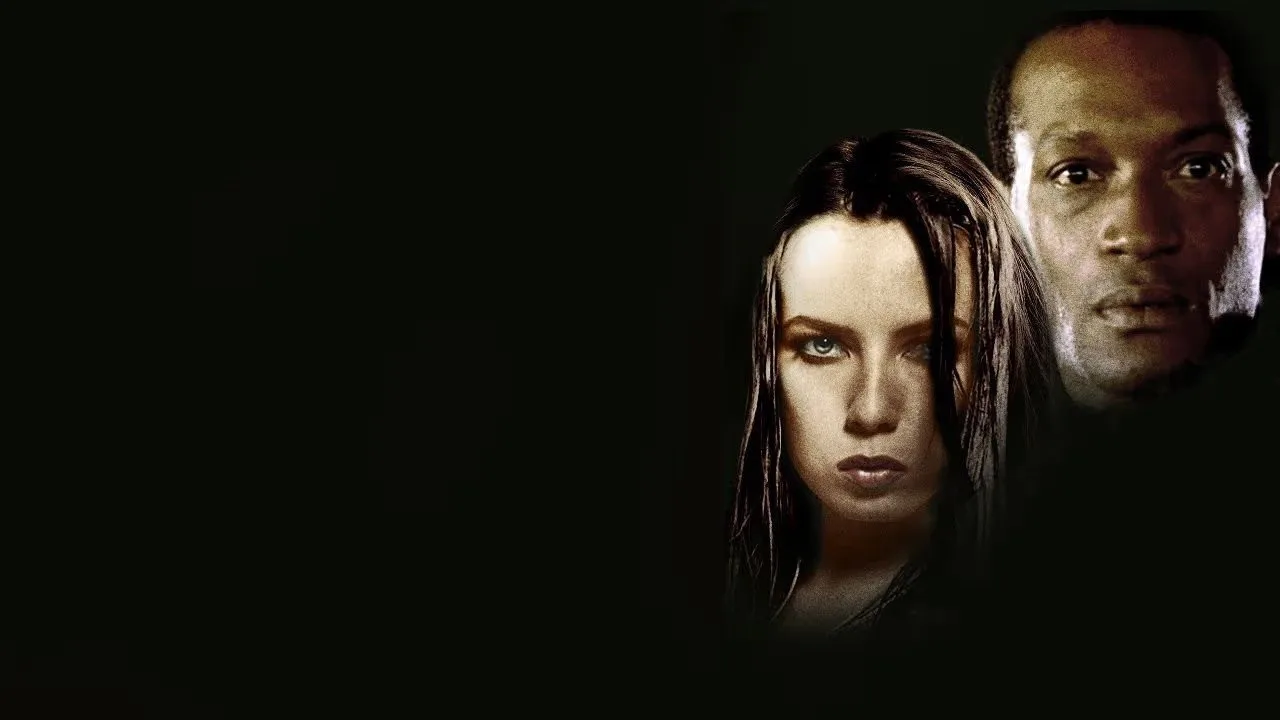 Stir (1997)