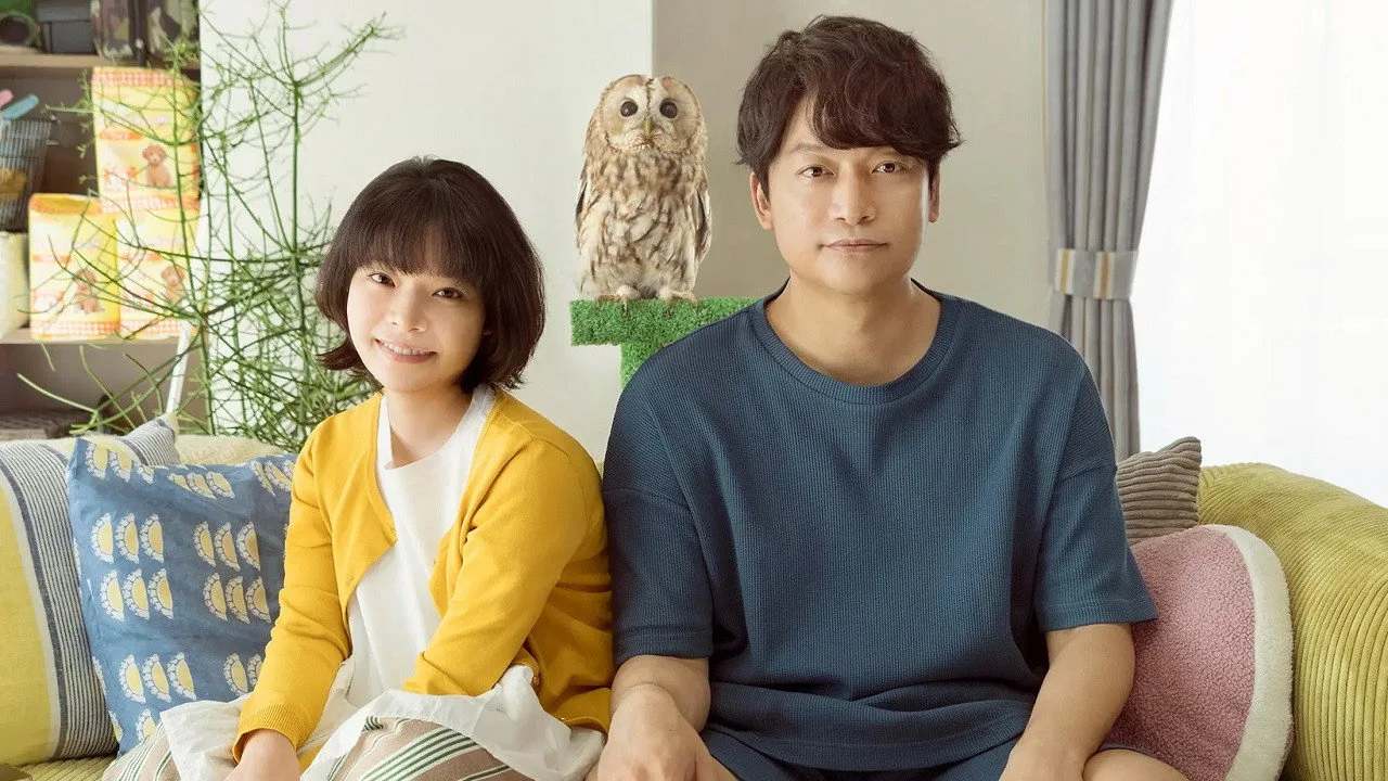 Everything Will Be Owlright! (2022)