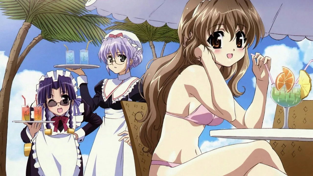 Haruka Nogizaka's Secret (2008)