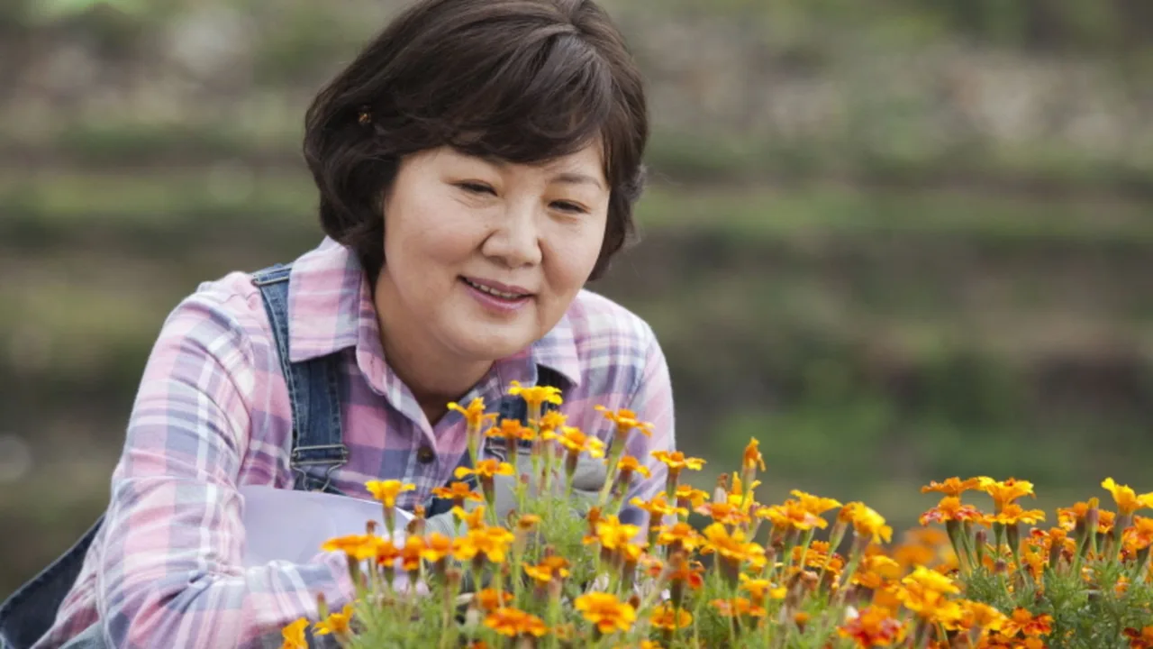 Go! Mrs. Go! (2011)