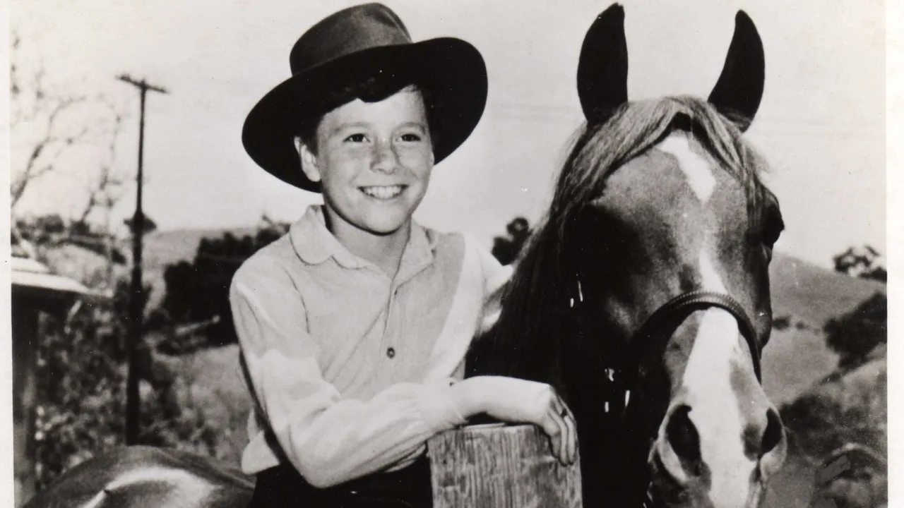 My Friend Flicka (1955)
