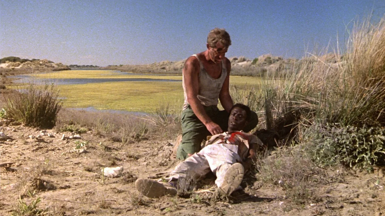 The Professional (1981)