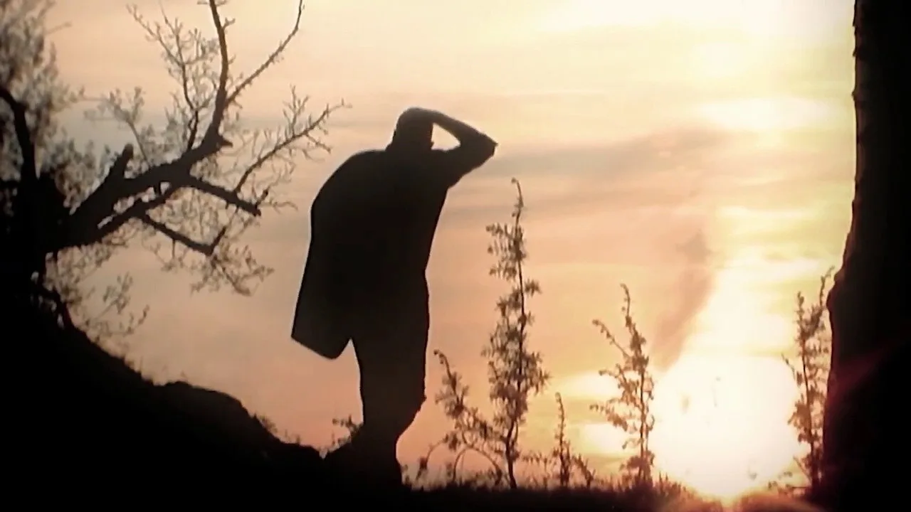 Melancholie der Engel (2009)