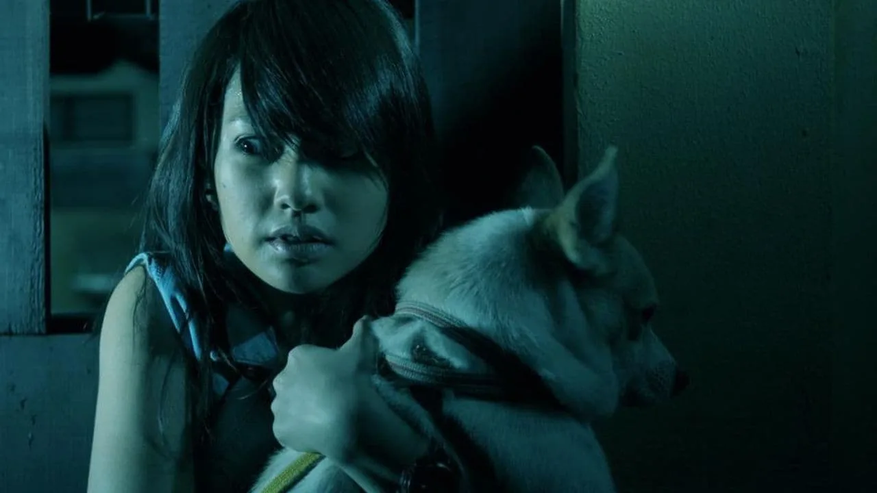 The Child's Eye (2010)