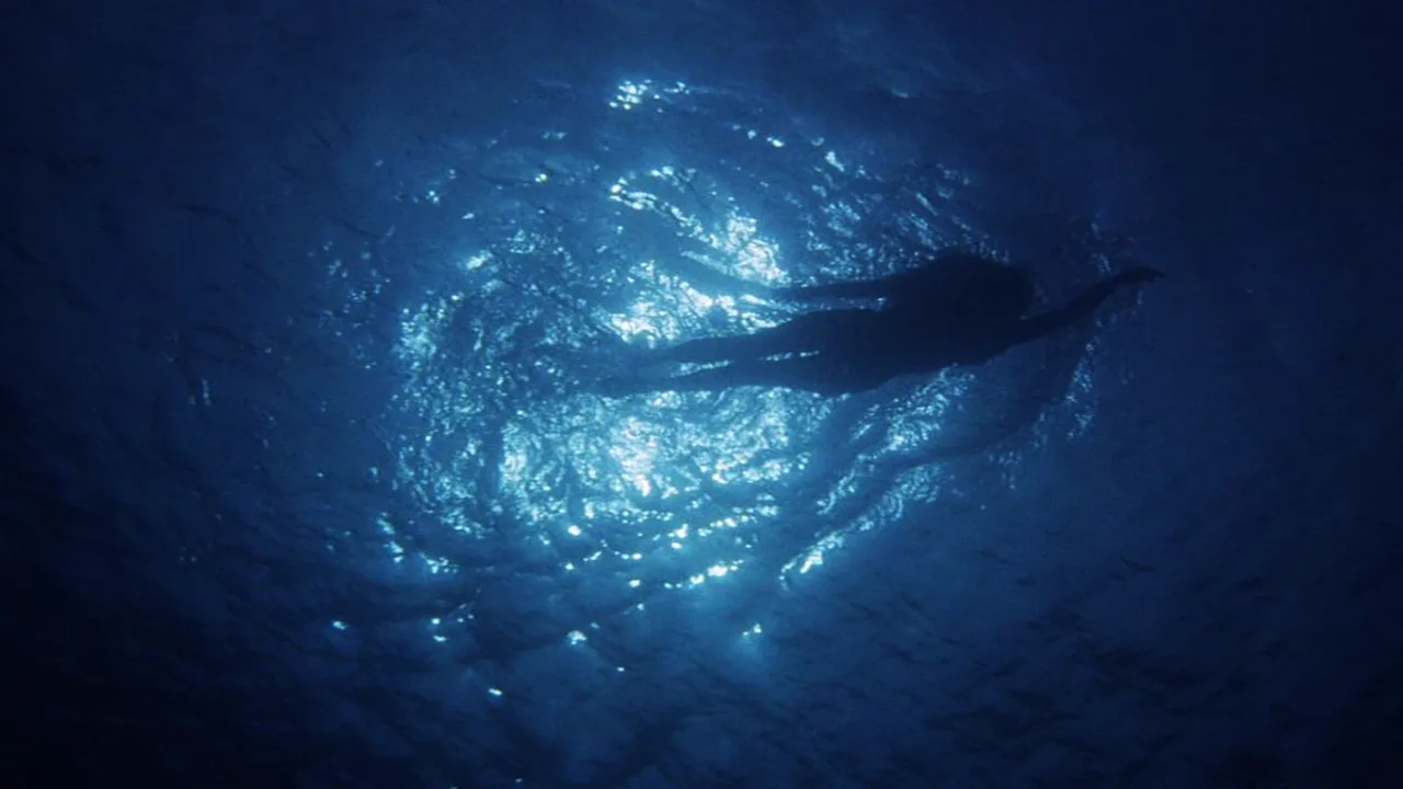 Jaws, a Monstrous Success (2024)