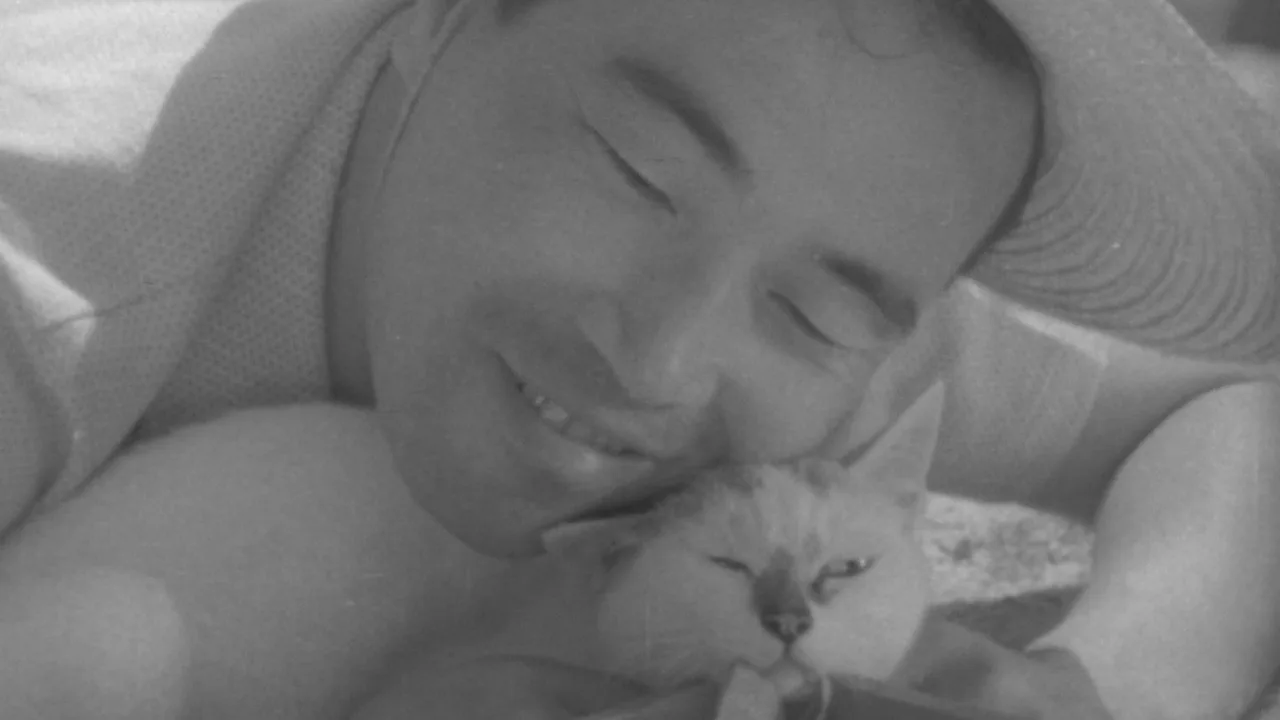 Shozo, a Cat and Two Women (1956)