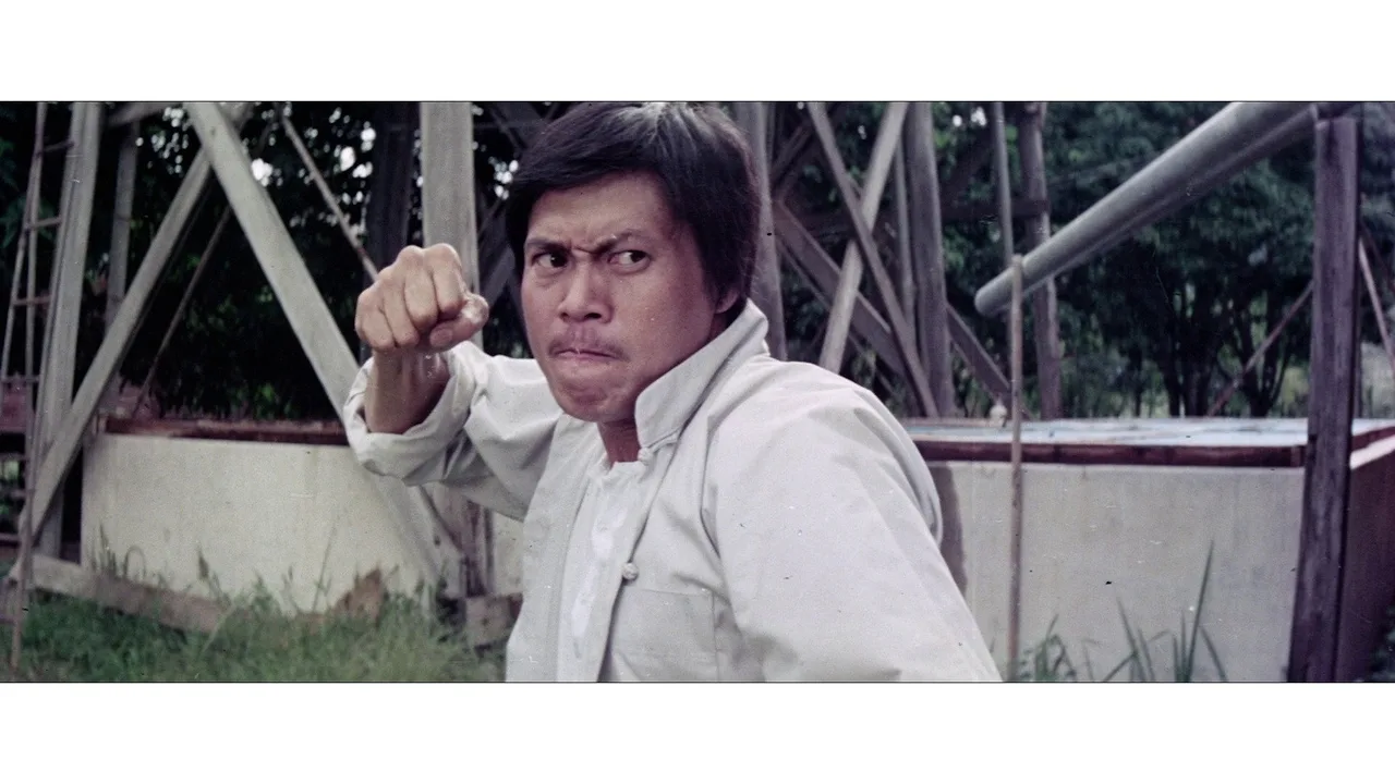 The Big Boss Part II (1976)