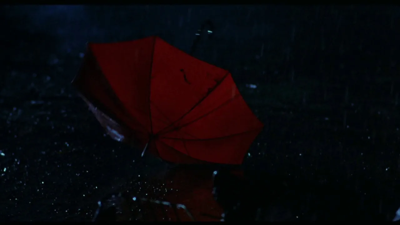The Dropout (1982)