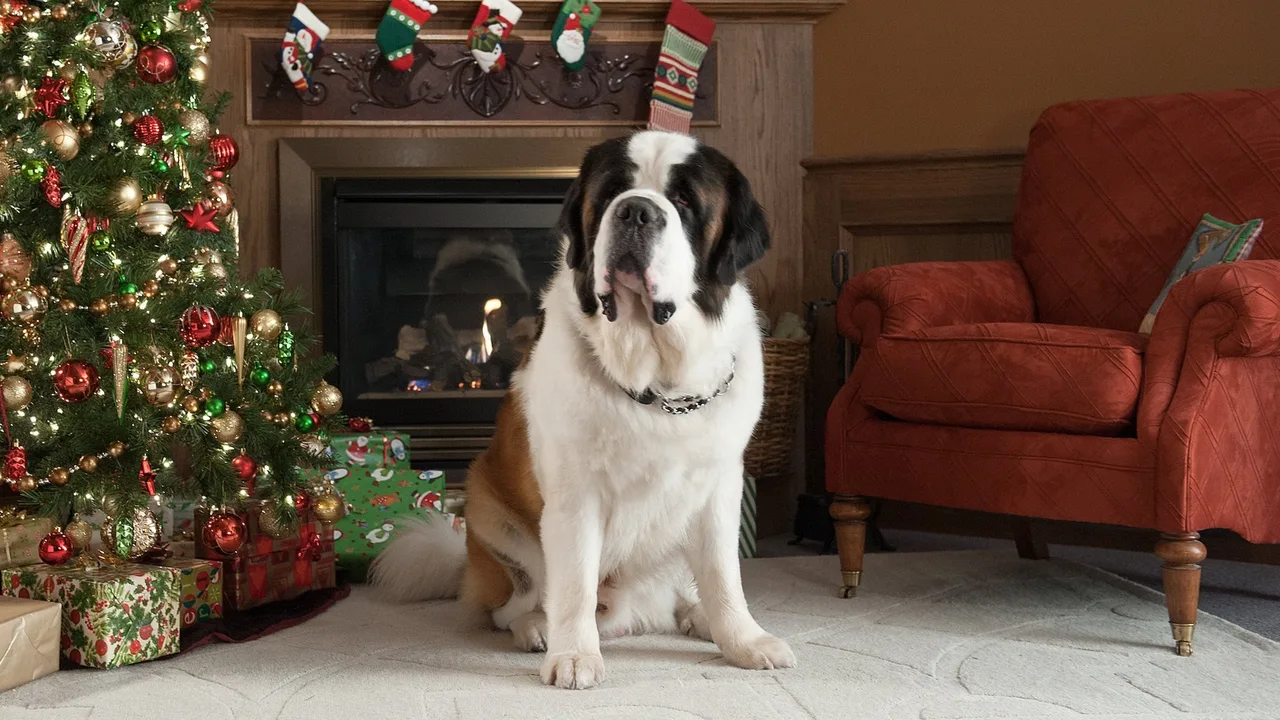 Beethoven's Christmas Adventure (2011)