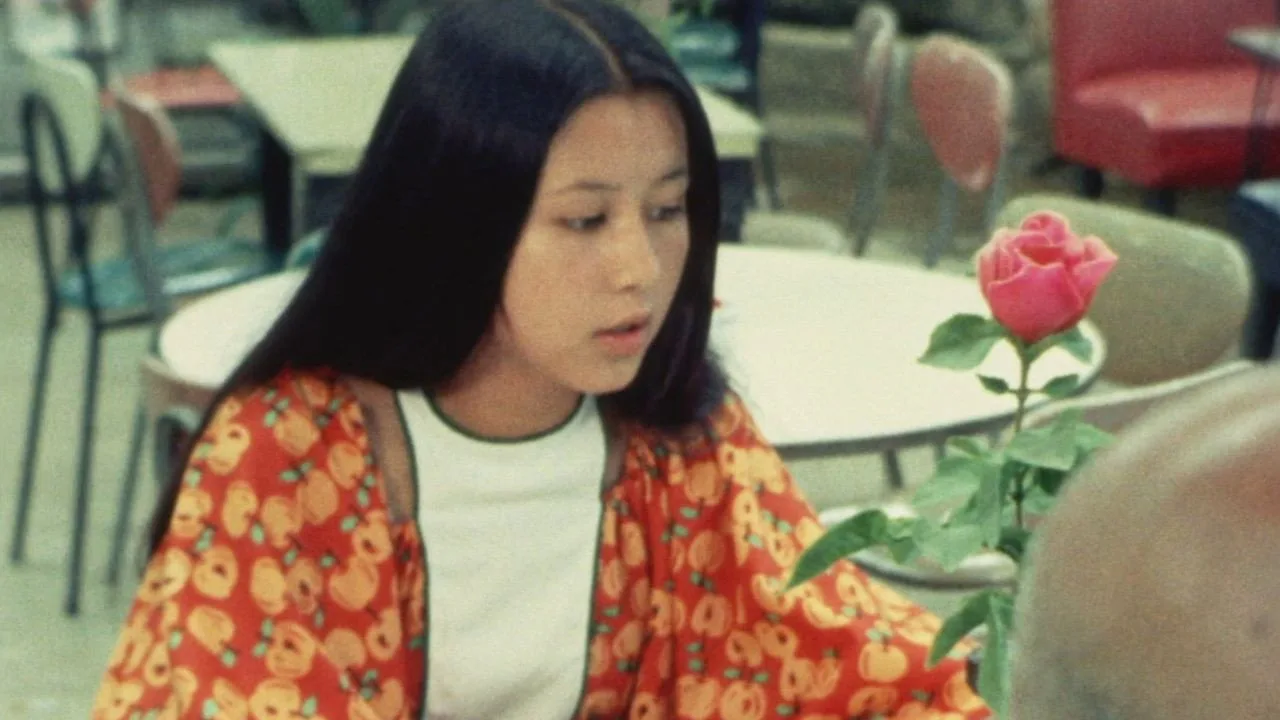 Dear Summer Sister (1972)