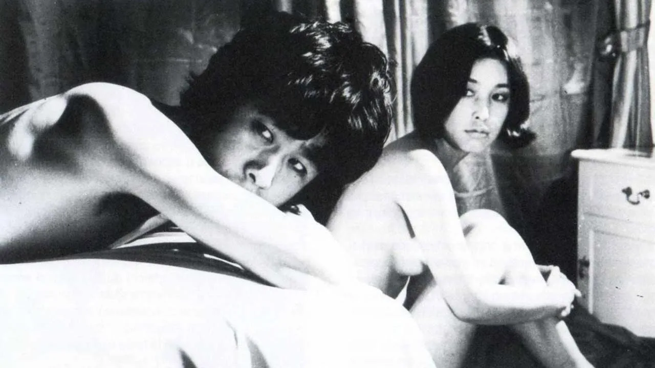 Diary of a Shinjuku Thief (1969)