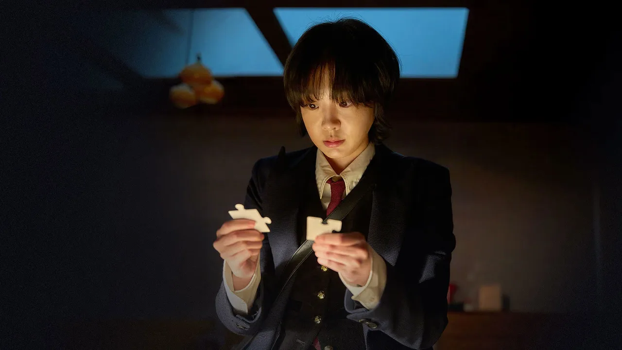 Nine Puzzles (2025)