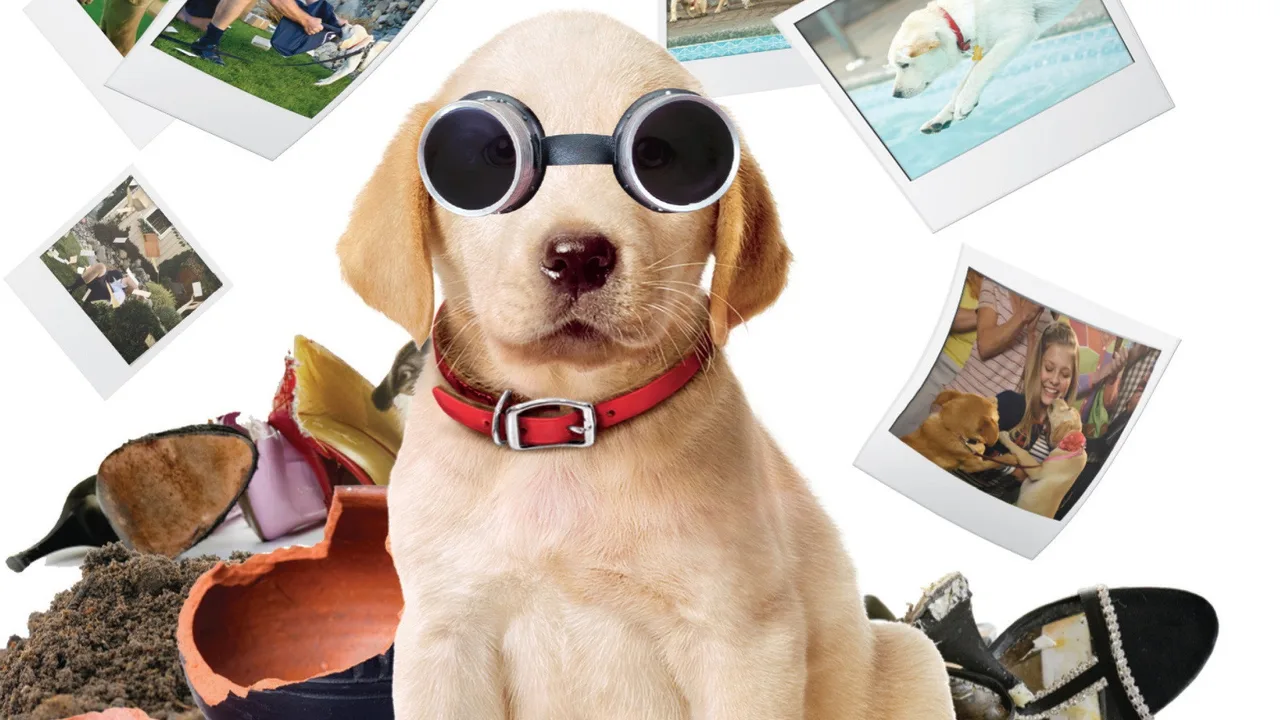 Marley & Me: The Puppy Years (2011)